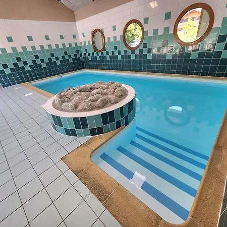 Appartement Avec Piscine Et Parking, Animaux Admis - Fr-1-629-92 Samoëns